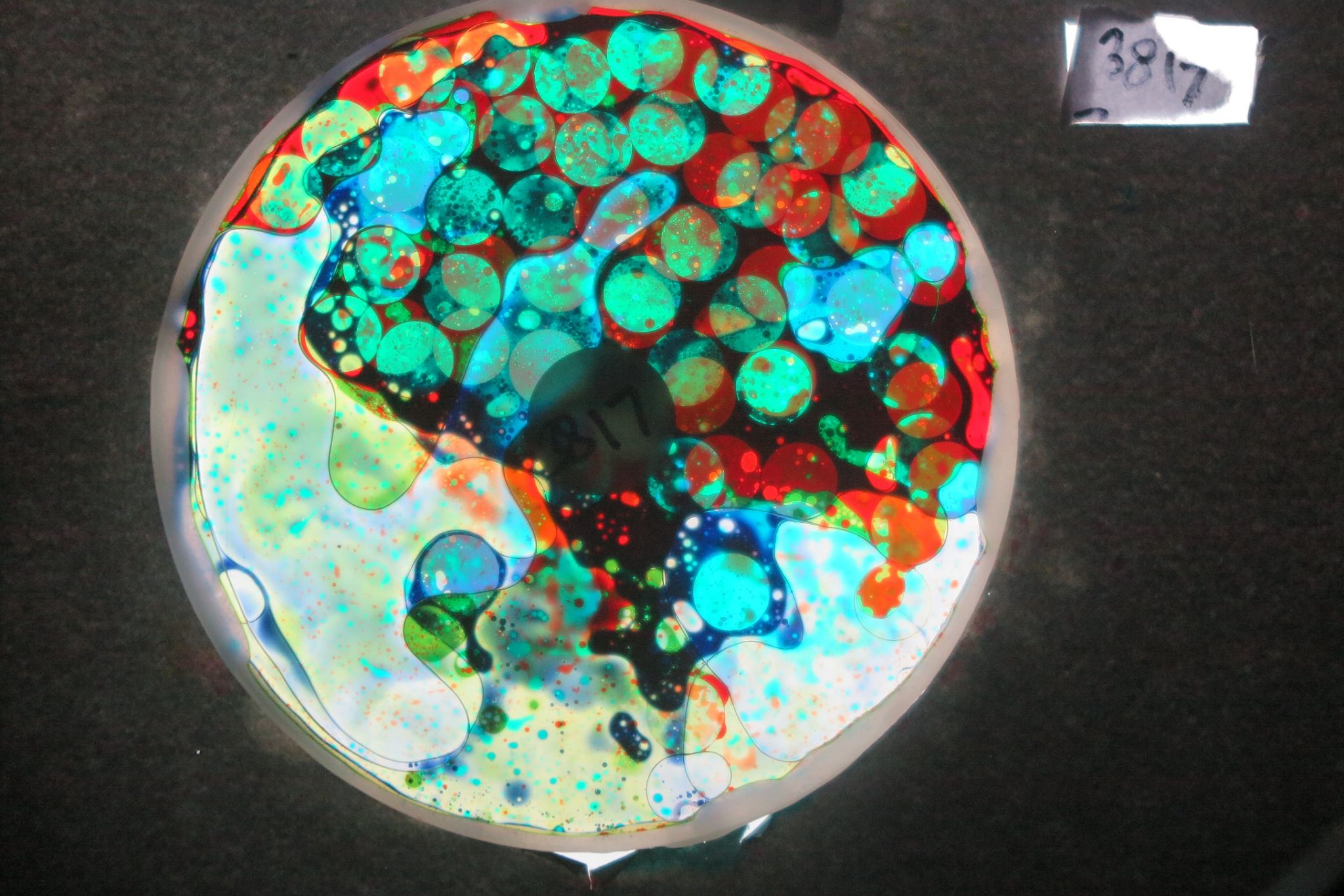 BV3817 bubble vision oil wheel